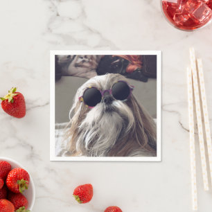 Cool Shih Tzu met lange haren vintage zonnebril fo Servet