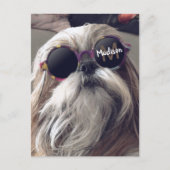 Cool Shih Tzu  retro bril Foto Monogram Briefkaart (Voorkant)