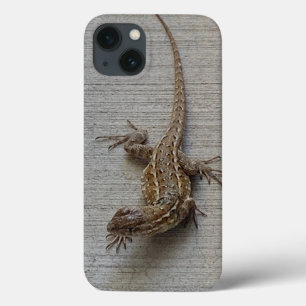 Cool Sidewalk Lizard Case-Mate iPhone Case