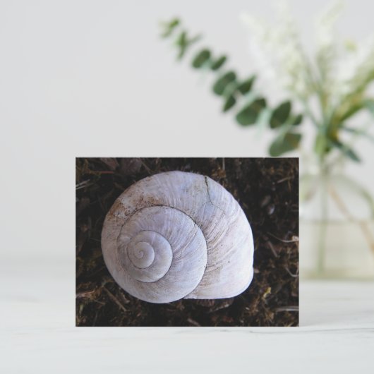 Cool snailshell briefkaart (Staand voorkant)