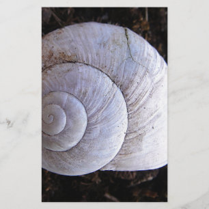 Cool snailshell briefpapier