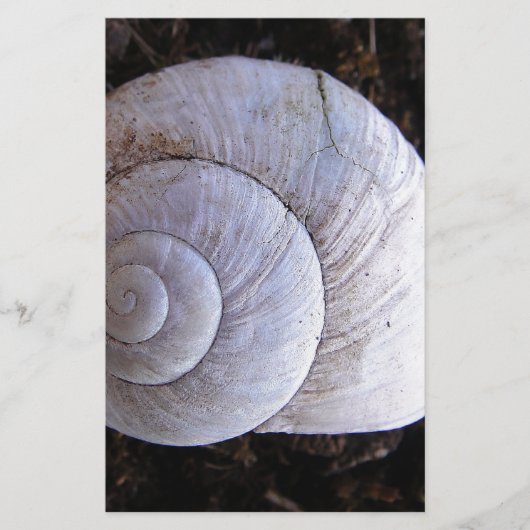 Cool snailshell briefpapier (Voorkant)