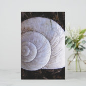Cool snailshell briefpapier (Staand voorkant)