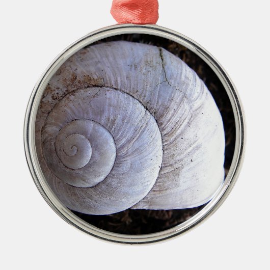 Cool snailshell metalen ornament (Voorkant)
