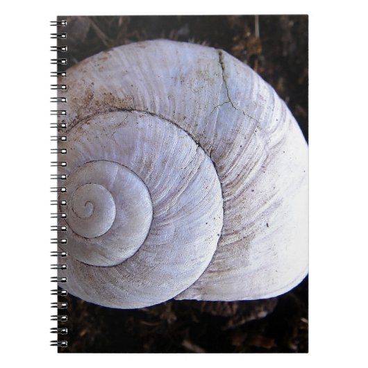 Cool snailshell notitieboek (Voorkant)