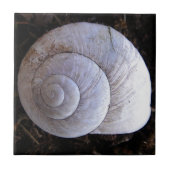 Cool snailshell tegeltje (Voorkant)