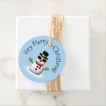 Cool Snowman Merry Christmas Winter Custom Bedankjes Labels<br><div class="desc">Cool Snowman Merry Christmas Winter Custom Favoriet Tag. Pas leuke unieke kind Party Supplies. Illustratie van een koele sneeuwman met groene zonnebril en handschoenen,  rode sjaal en zwarte hoed op lichtblauw.</div>