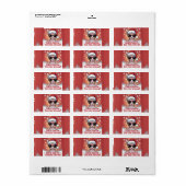 Cool Sphynx Cat Christmas Santa Design Etiket (Full Sheet)