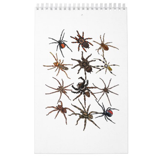 Cool Spider for Men Archnid Spooky Scary Ha Kalender (Hoes)
