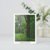 Cool Summer Evening Briefkaart (Staand voorkant)