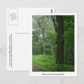 Cool Summer Evening Briefkaart (Voorkant / Achterkant)