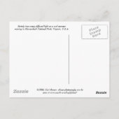 Cool Summer Evening Briefkaart (Achterkant)