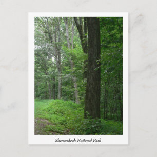 Cool Summer Evening Briefkaart