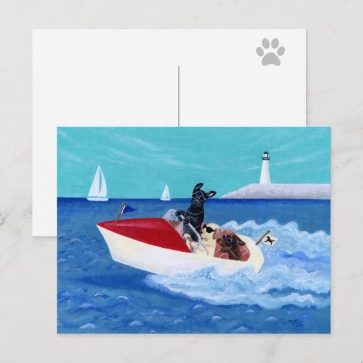 Cool Summer Labradors Briefkaart (Voorkant / Achterkant)