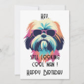 Cool Summer Shih Tzu Happy B-day kaart (Voorkant)