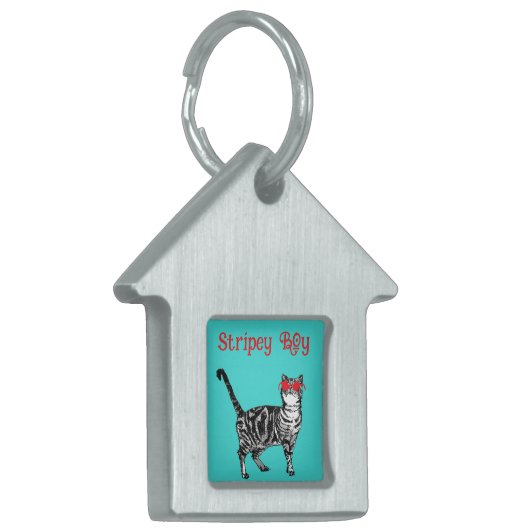 Cool Tabby Cat You Are One Cool Cat Huisdieren Naamplaatje (Voorkant Links)