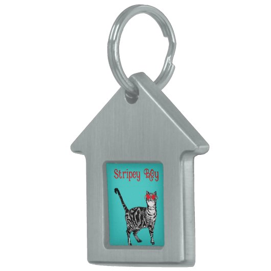 Cool Tabby Cat You Are One Cool Cat Huisdieren Naamplaatje (Voorkant Rechts)