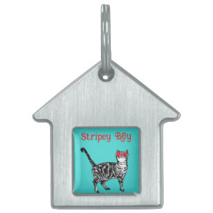 Cool Tabby Cat You Are One Cool Cat Huisdieren Naamplaatje