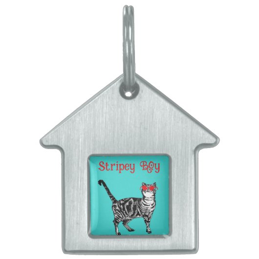 Cool Tabby Cat You Are One Cool Cat Huisdieren Naamplaatje (Voorkant)