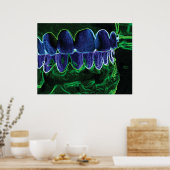 Cool Teeth Model Dentist Orthodontist Poster (Keuken)
