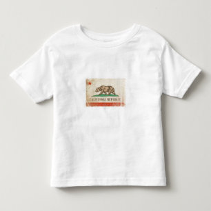 Cool Toddler T-shirt Distress Flag uit Californië