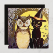 Cool uil Cat Kaart (Voorkant / Achterkant)