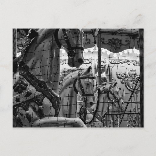 Cool, urban, moderne foto van paarden van carrouse briefkaart (Voorkant)