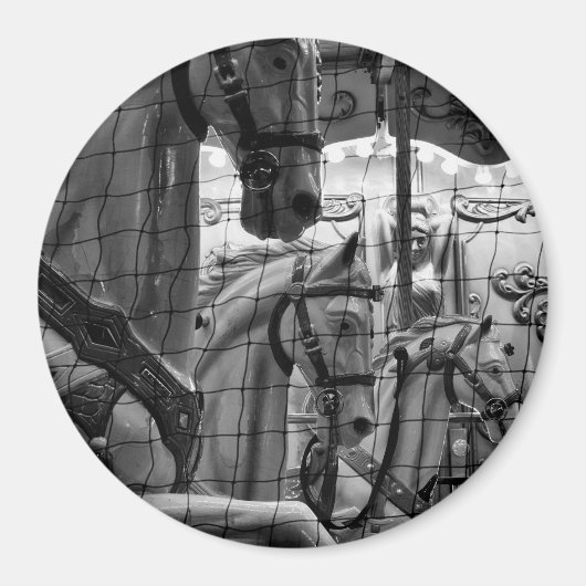 Cool, urban, moderne foto van paarden van carrouse magneet (Voorkant)