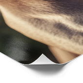 Cool Weimaraner Dog with Flat Cap & Sunglasses Perfect Poster (Hoek)