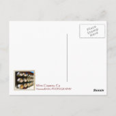 Cool Wine Land/Barrel Briefkaart! Briefkaart (Achterkant)