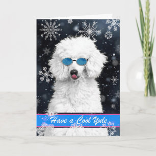 Cool Yule White Poodle met sneeuwvlokken Kaart