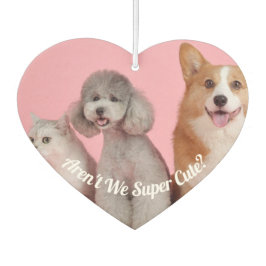 Cool zijn we niet supercool? Pet Photo Air Freshen Luchtverfrisser