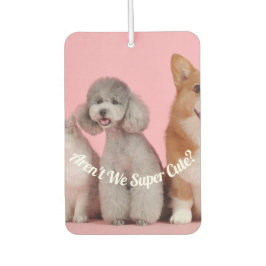 Cool zijn we niet supercool? Pet Photo Air Freshen Luchtverfrisser