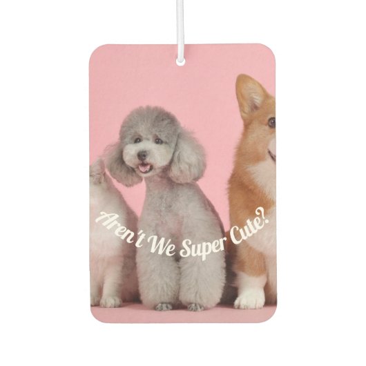 Cool zijn we niet supercool? Pet Photo Air Freshen Luchtverfrisser (Voorkant)