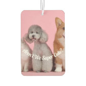 Cool zijn we niet supercool? Pet Photo Air Freshen Luchtverfrisser (Achterkant)