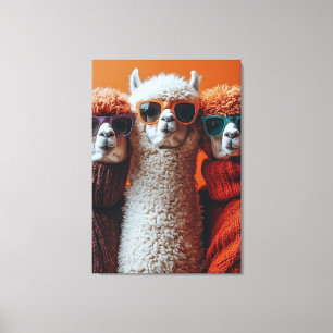 Coole Alpakas in Truien en Zonnebrillen Canvas Afdruk