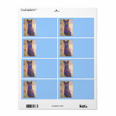 coole blauwe kat etiket (Full Sheet)