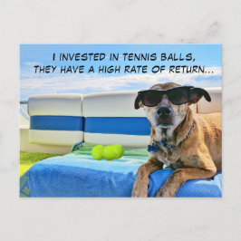 Coole boot hond met zonnebril en tennisballen feestdagenkaart