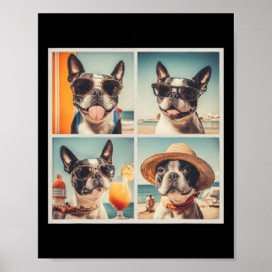 Coole Boston Terrier Zonnebril Honden Zomer Vakant Poster