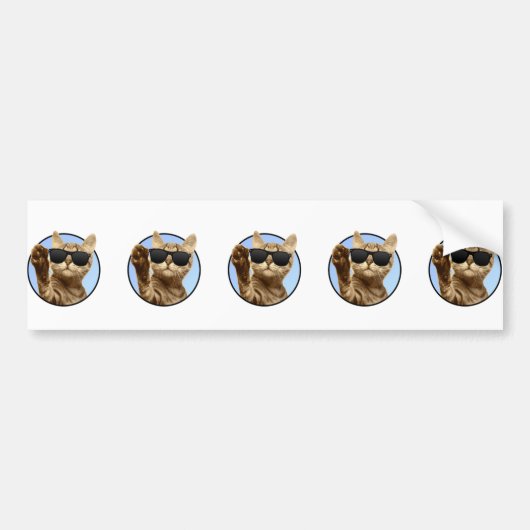 Coole Cat-Bumpersticker Bumpersticker (Voorkant)