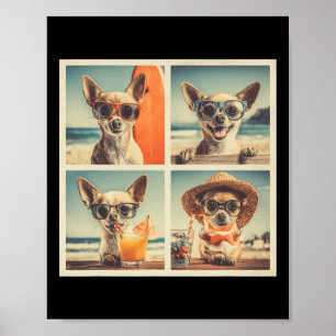 Coole Chihuahuas Zonnig Cute Honden Vakantie Stran Poster