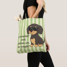 Coole Dachshund Zonnebril Grappige Hond Groene Str