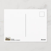 Coole Deense trol-postkaart! Briefkaart (Achterkant)