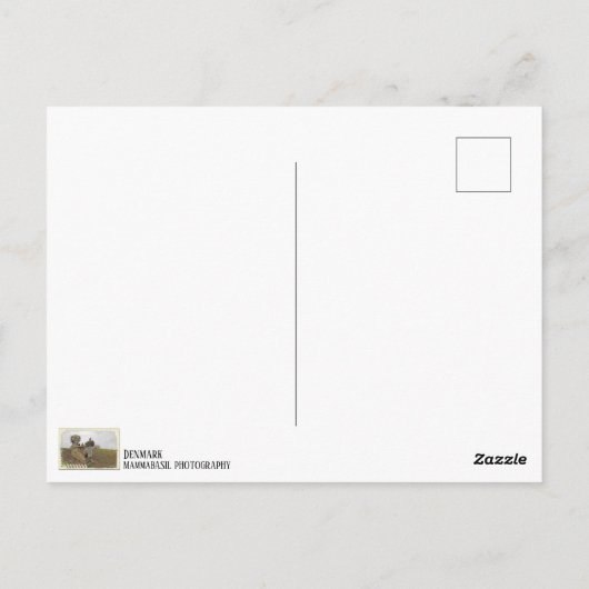 Coole Deense trol-postkaart! Briefkaart (Achterkant)