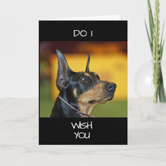 **COOLE DOBERMANN** zegt GEFELICITEERD MET JE "40e Kaart (Voorkant)
