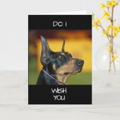 **COOLE DOBERMANN** zegt GEFELICITEERD MET JE "40e Kaart (Gele Bloem)