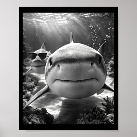 Coole Haaien Dier Selfie Poster (Voorkant)
