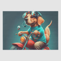 Coole hond die een motor bestuurt