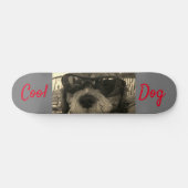 Coole Hond Met Zonnebril Persoonlijk Skateboard (Horizontaal)