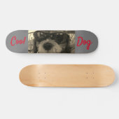 Coole Hond Met Zonnebril Persoonlijk Skateboard (Horizontaal)
